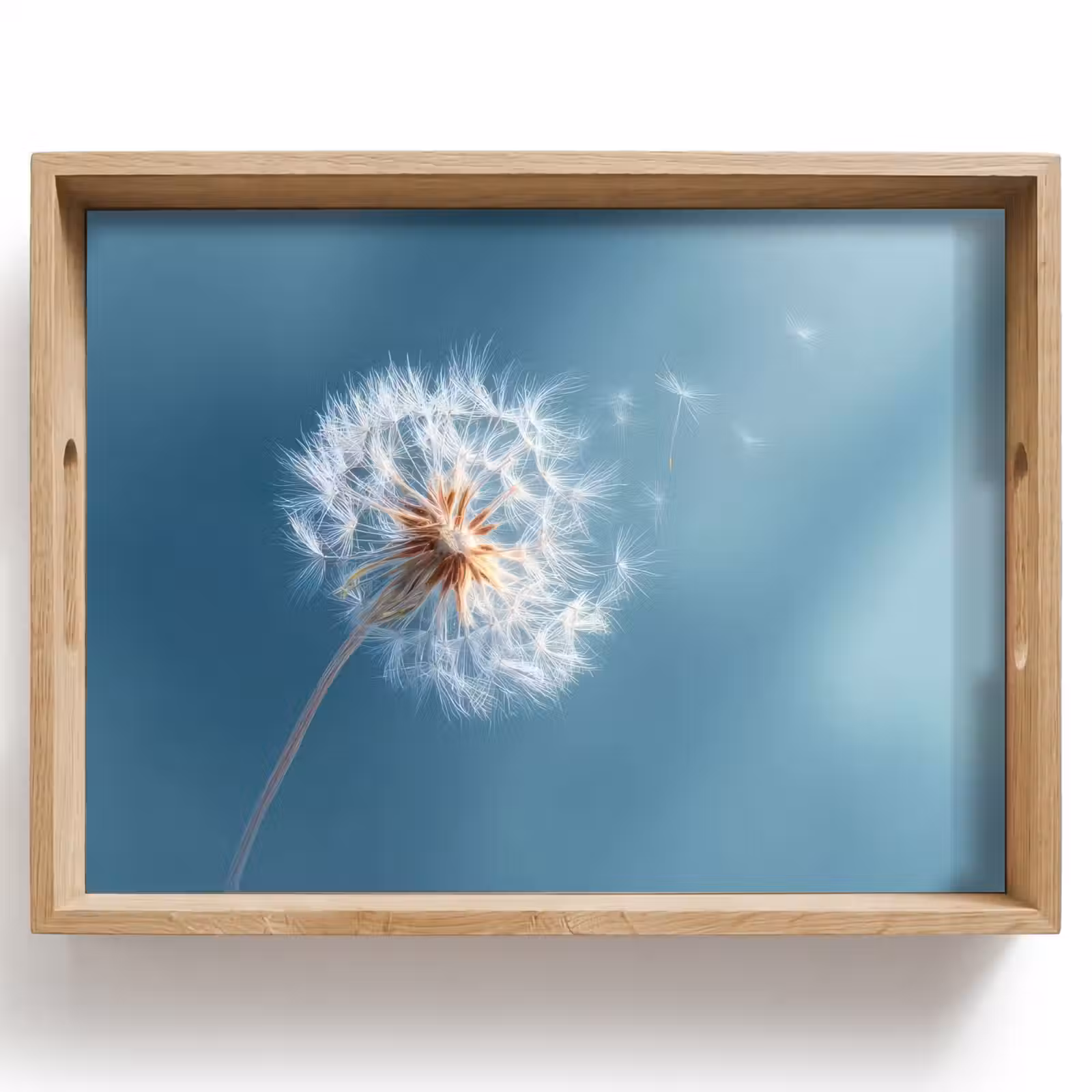 Dienblad - Paardenbloem - Wind - Blauw — 1