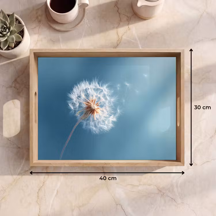 Dienblad - Paardenbloem - Wind - Blauw — 9