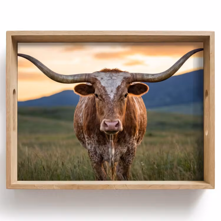 Dienblad - Longhorn - Landschap - Zonsondergang — 1