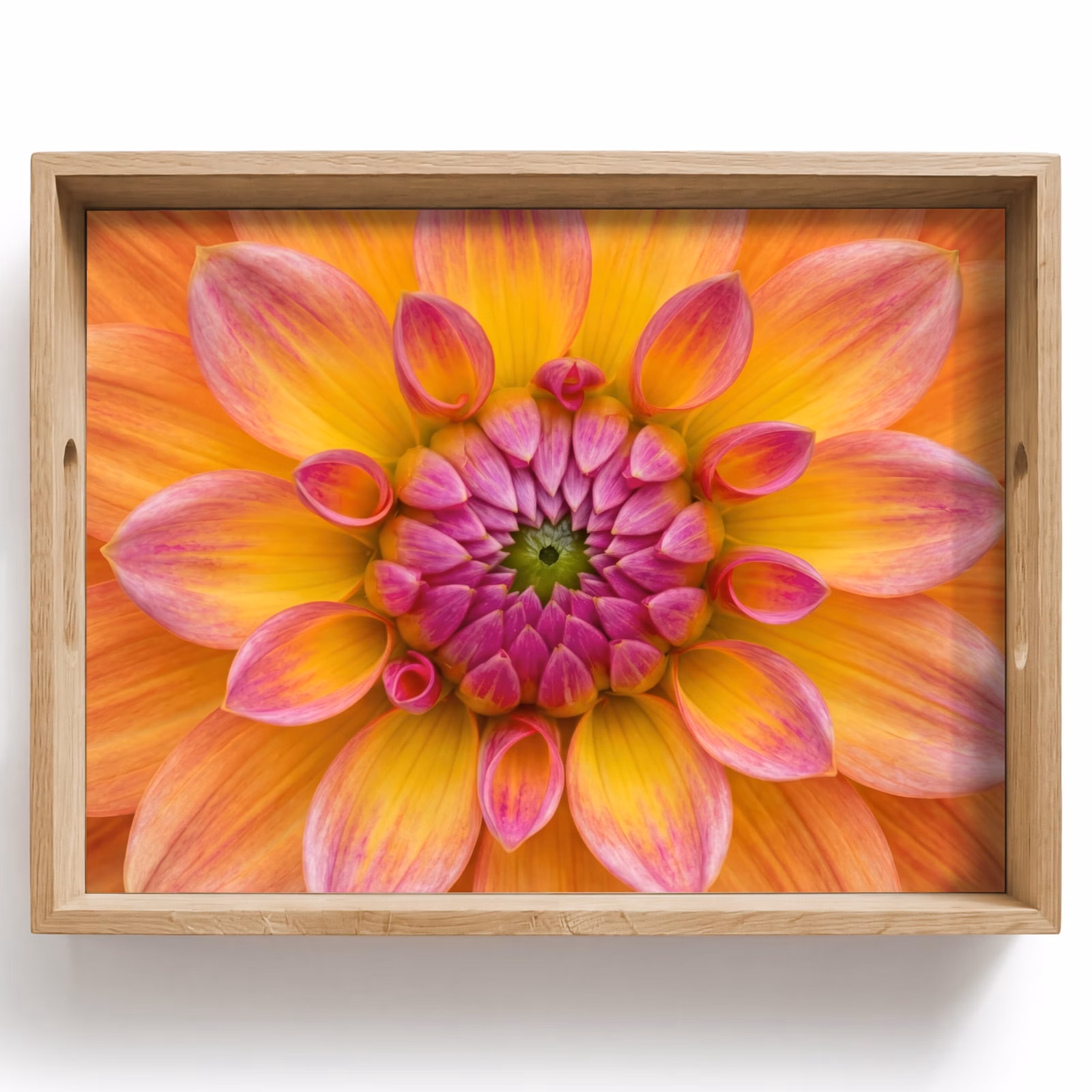 Dienblad - Dahlia - Bloem - Oranje — 1