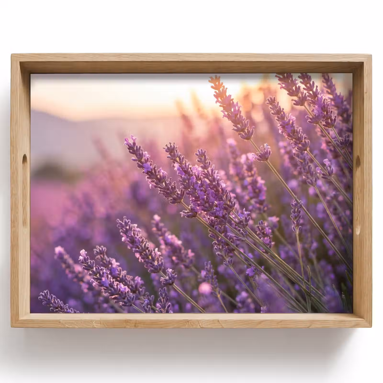 Dienblad - Lavendel - Paars - Zonlicht — 1