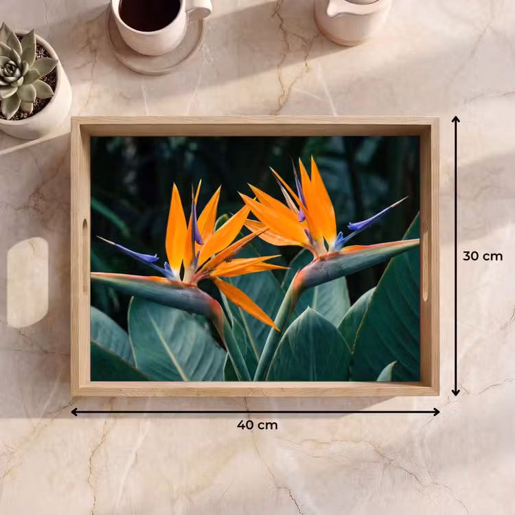 Dienblad - Paradijsvogel - Bloem - Exotisch — 9