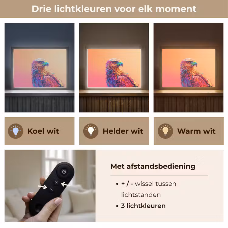 Lightbox - Wandlamp kinderkamer met naam - Arend - Vogel - Kleurrijk - Dier — 8