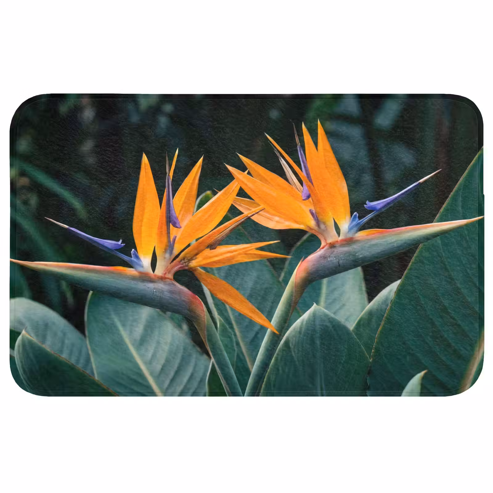Wc Mat - Paradijsvogel - Bloem - Exotisch — 1