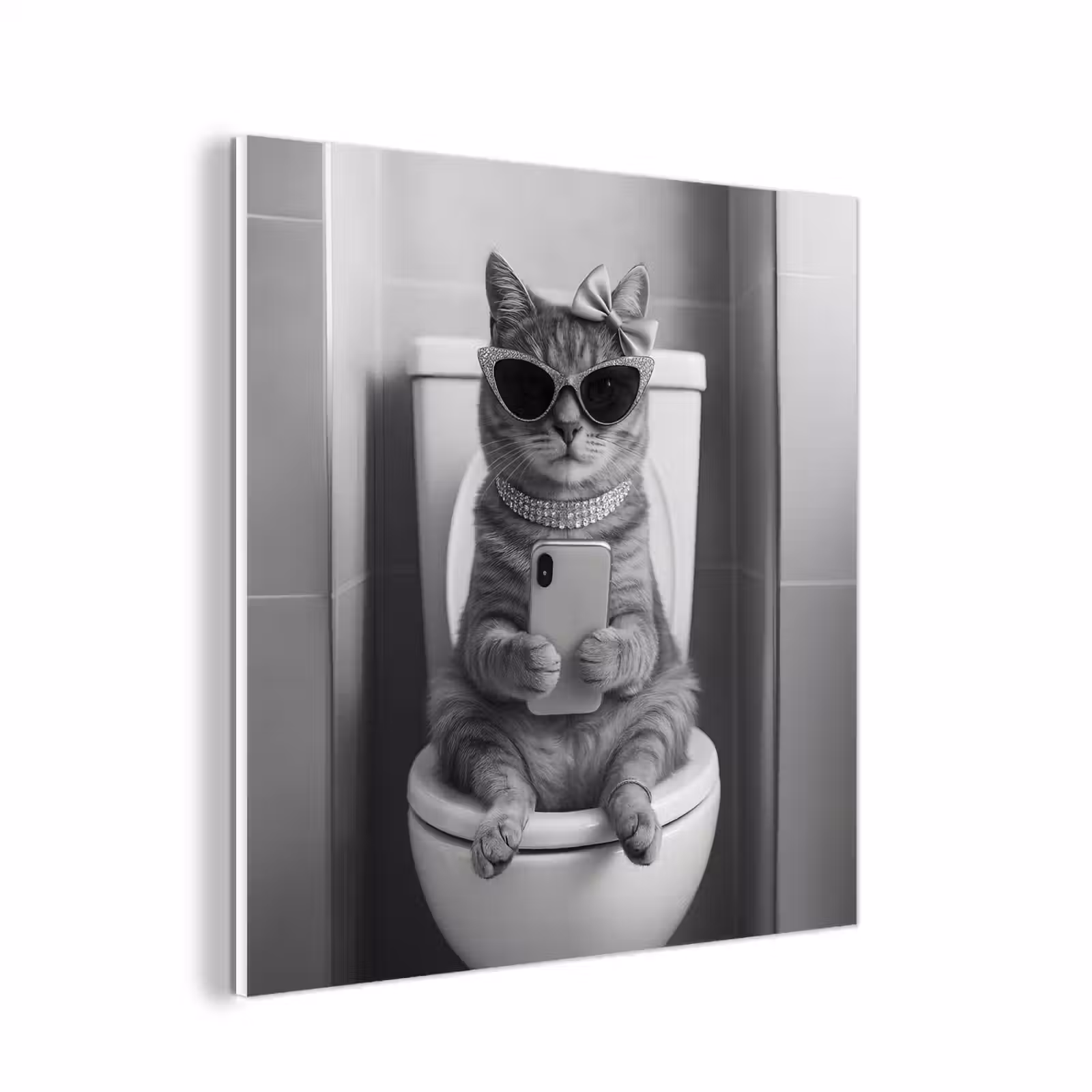 Forex - Kat - Telefoon - Toilet - Zwart - Wit — 1