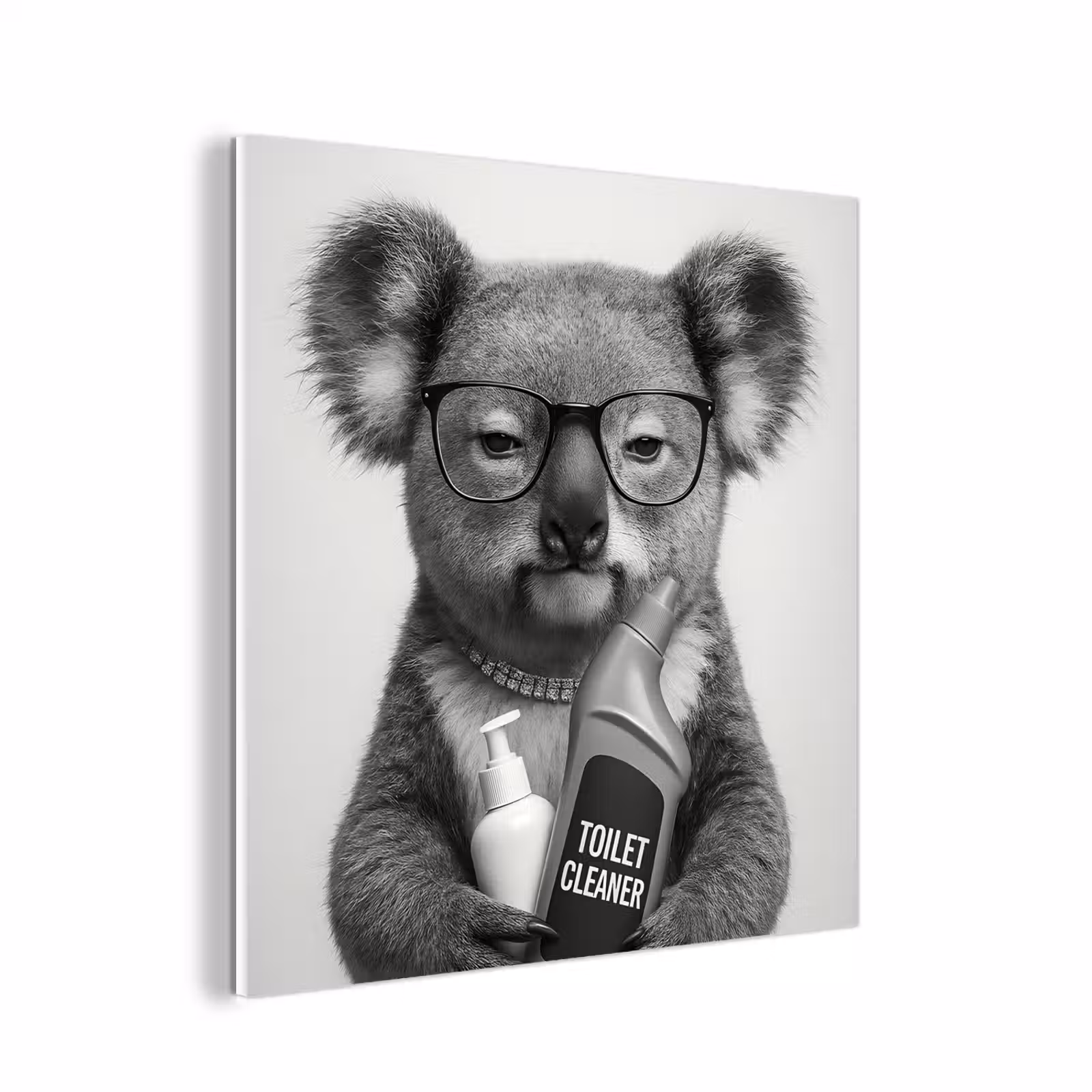Forex - Koala - Bril - Toilet — 1