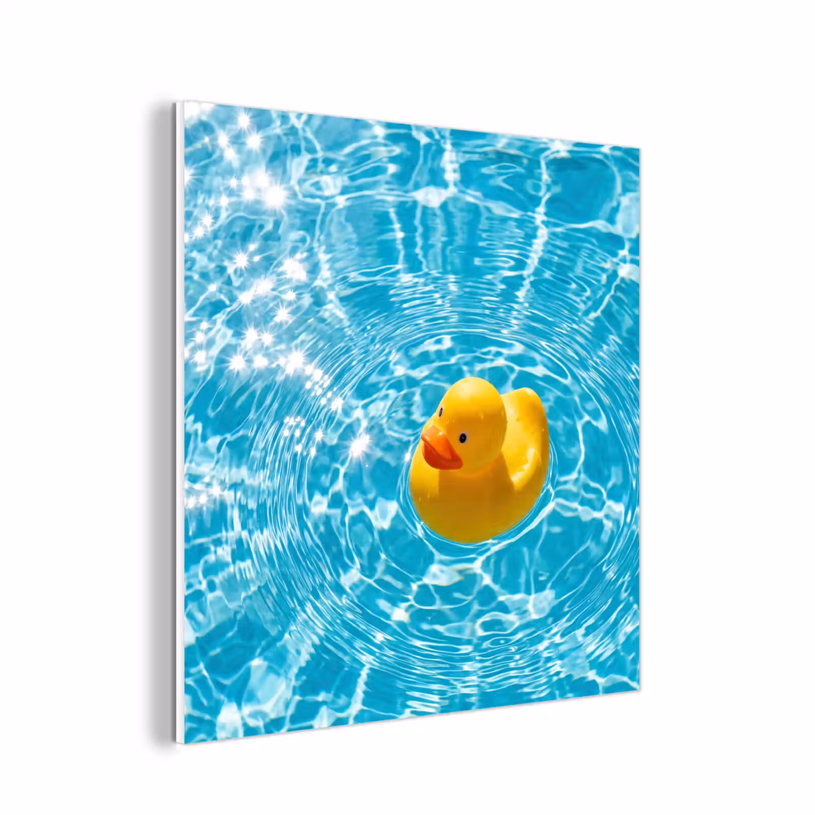 Forex - Badeend - Dobberen - Blauw — 1