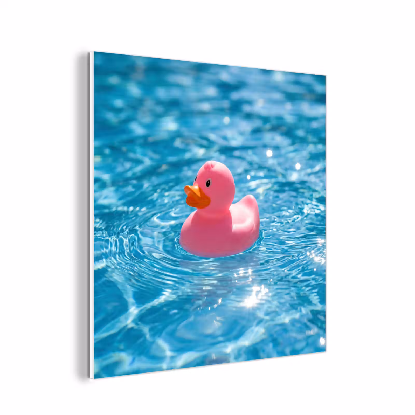 Forex - Badeend - Dobberend - Roze — 1