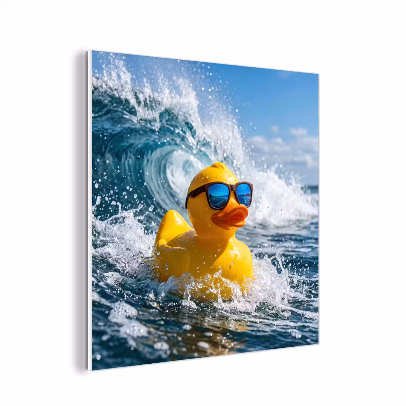 Forex - Badeend - Stoer - Golven — 1