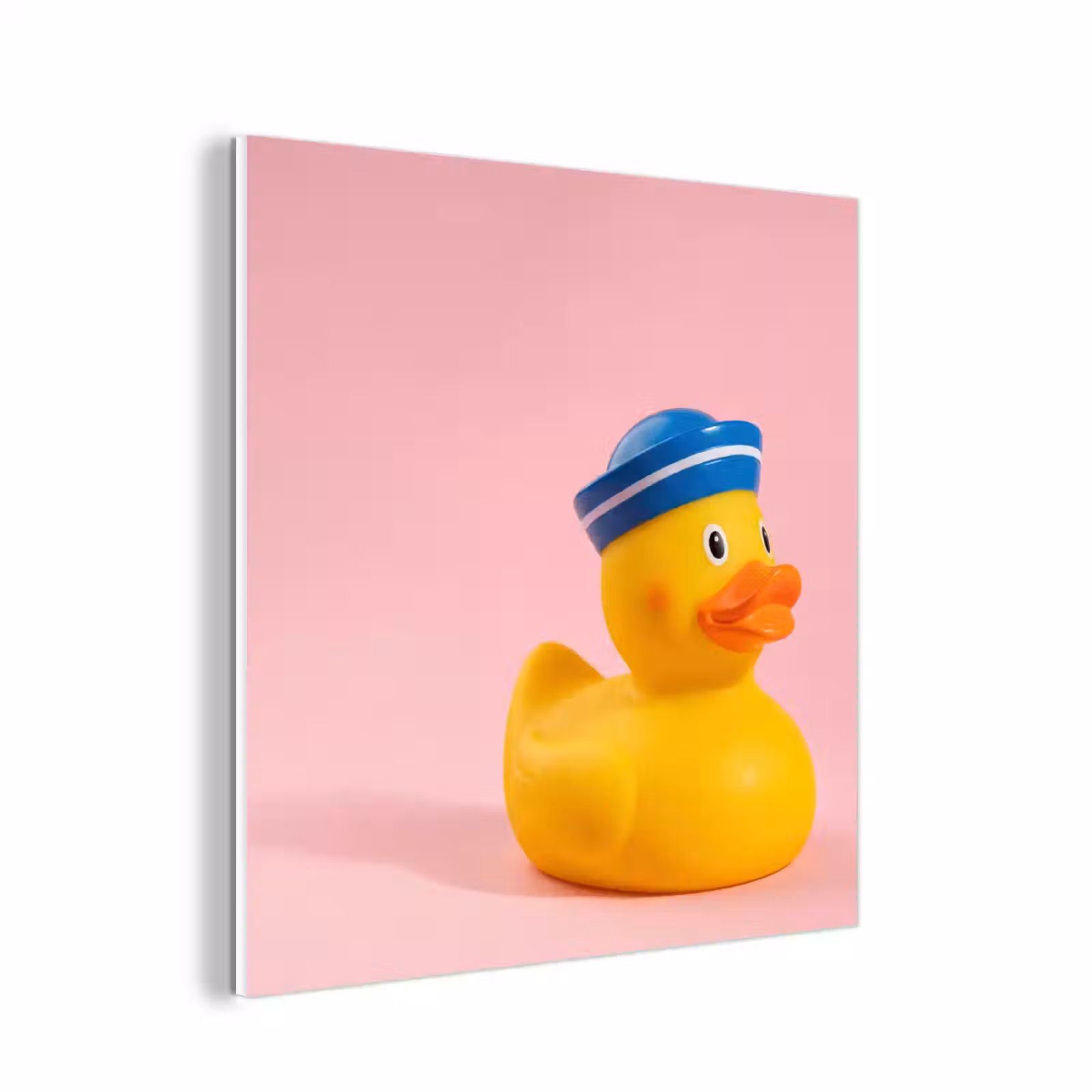 Forex - Matroos - Eend - Roze — 1