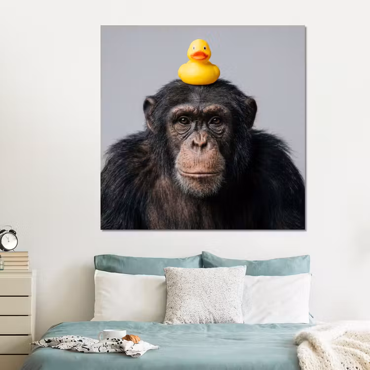 Forex - Chimpansee - Badeend - Grijs — 2