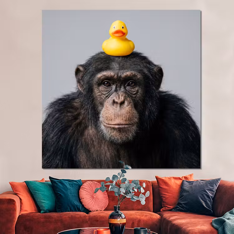 Forex - Chimpansee - Badeend - Grijs — 3