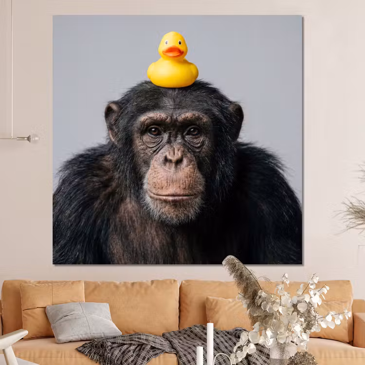 Forex - Chimpansee - Badeend - Grijs — 4