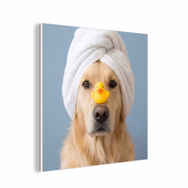 Forex - Hond - Badeend - Geel — 1