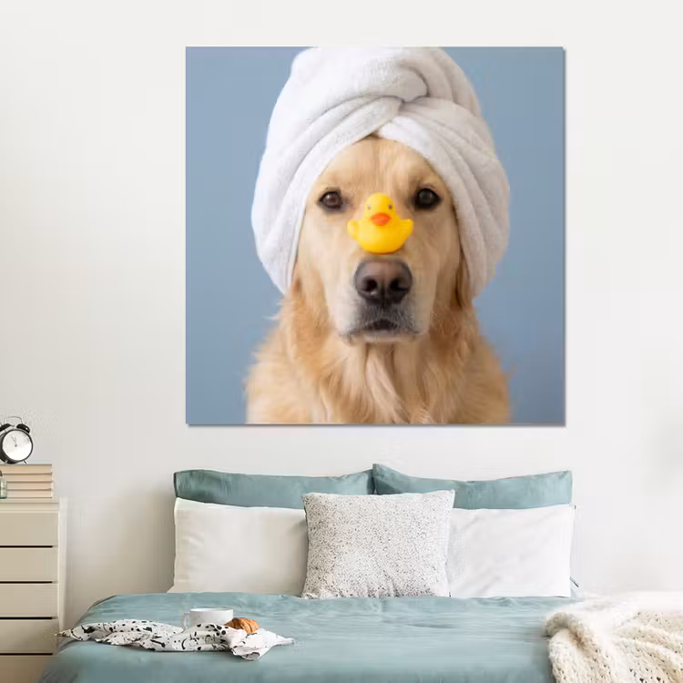 Forex - Hond - Badeend - Geel — 2
