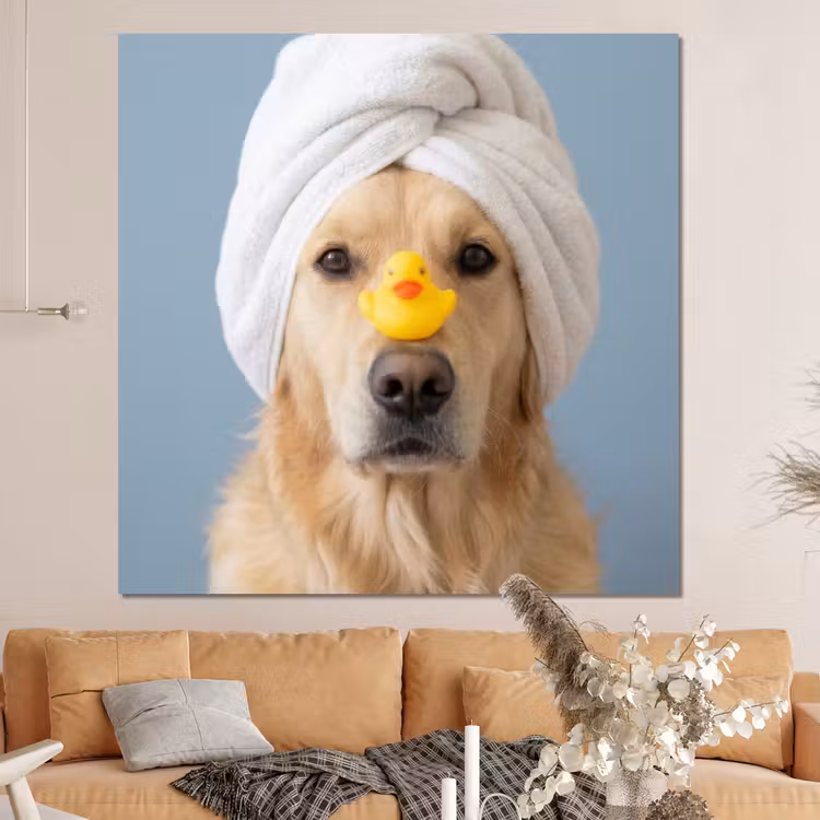 Forex - Hond - Badeend - Geel — 4