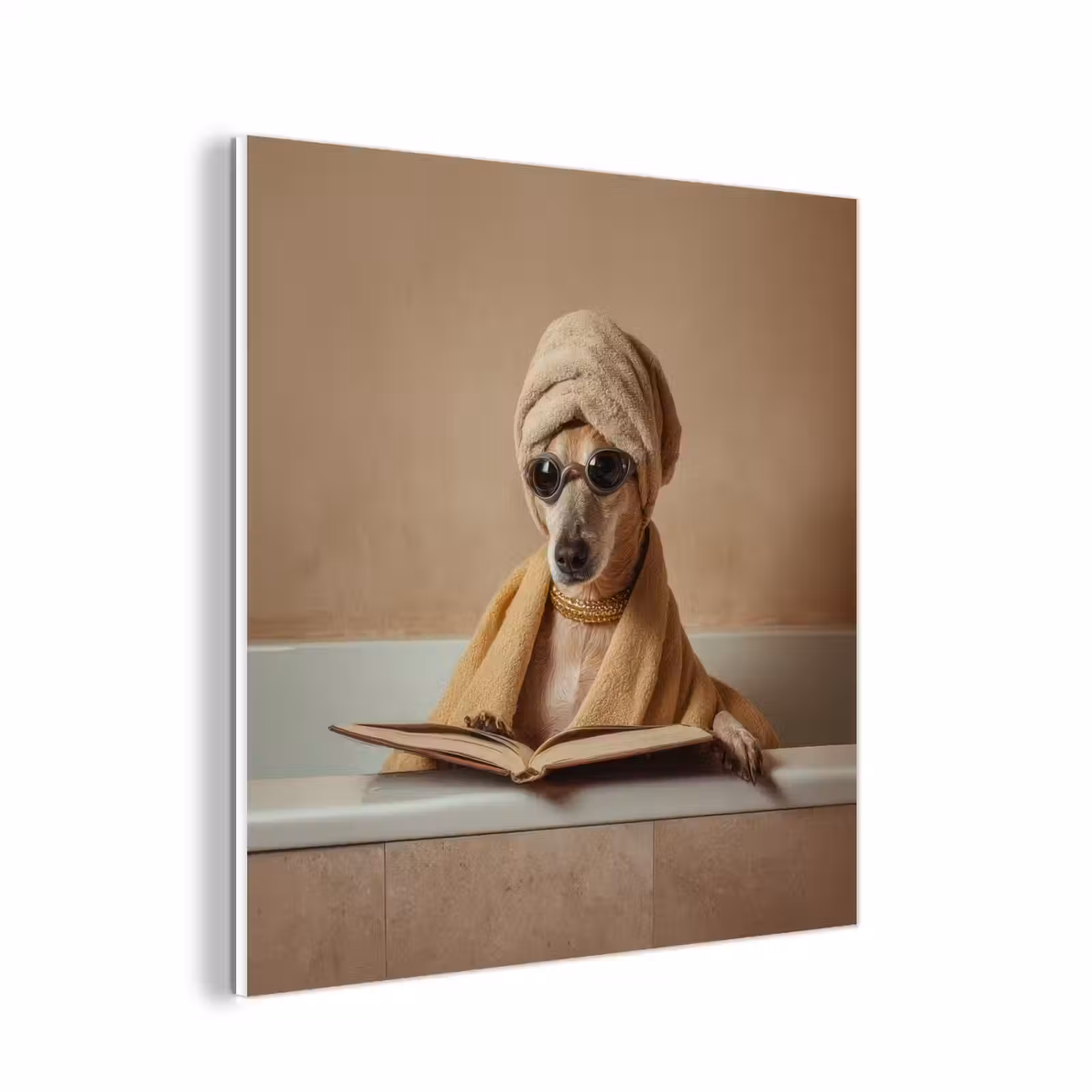 Forex - Bad - Hond - Boek - Zonnebril — 1