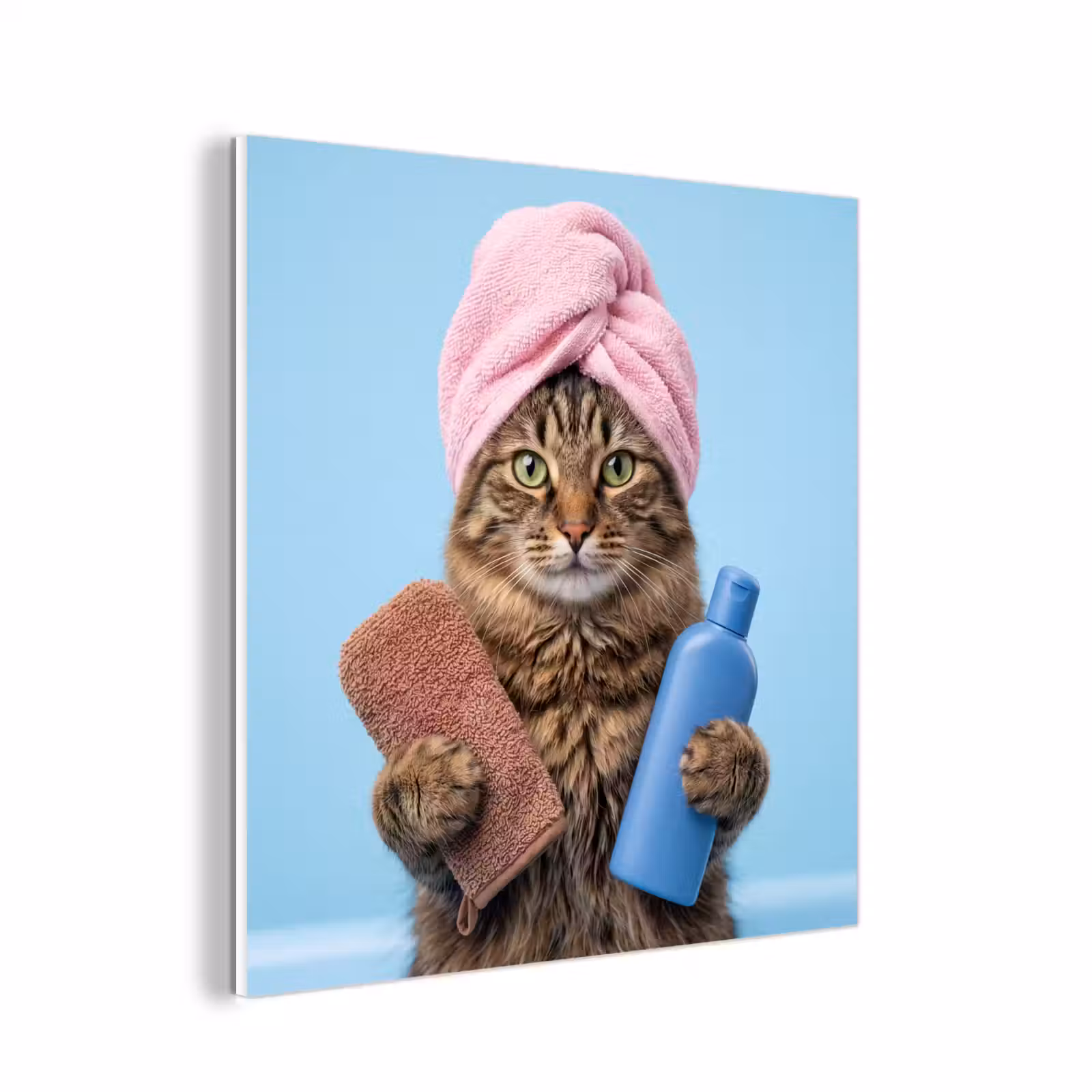 Forex - Kat - Handdoek - Washand - Zeep — 1