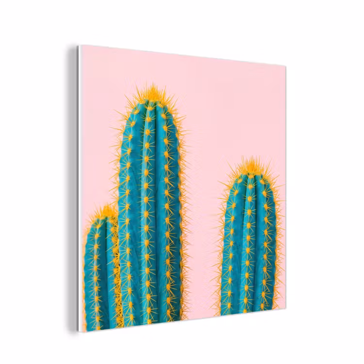 Forex - Cactussen - Modern - Pastel — 1