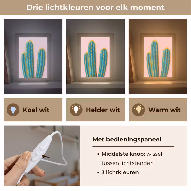 Nachtlampje - Cactussen - Modern - Pastel — 7