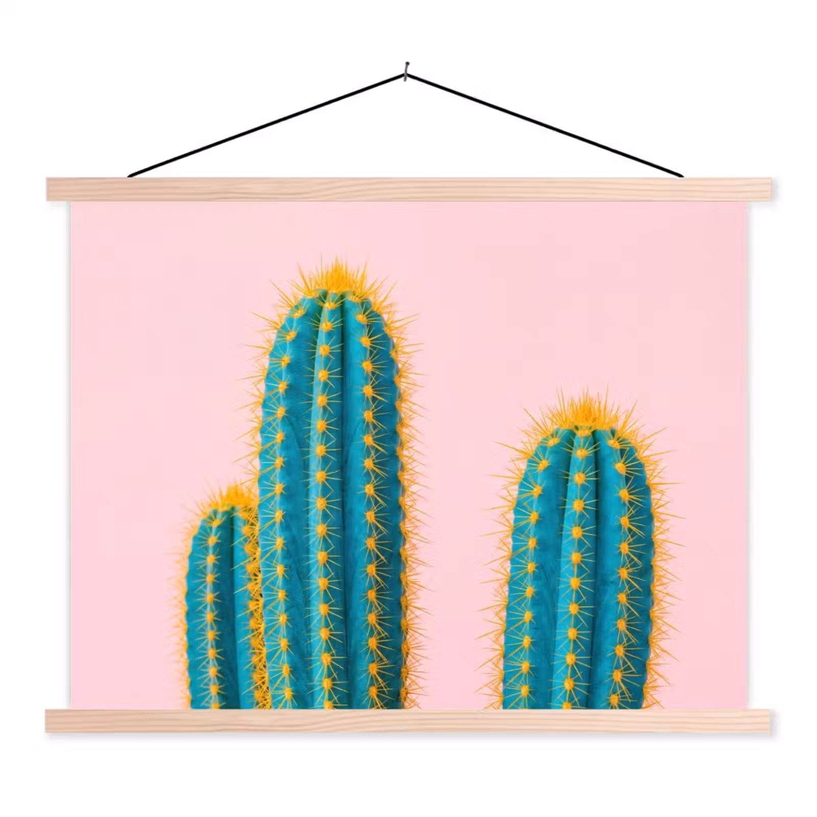 Schoolplaat - Cactussen - Modern - Pastel — 1