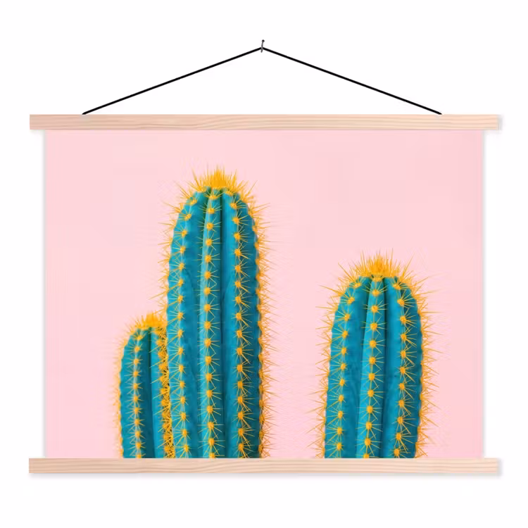 Schoolplaat - Cactussen - Modern - Pastel — 1