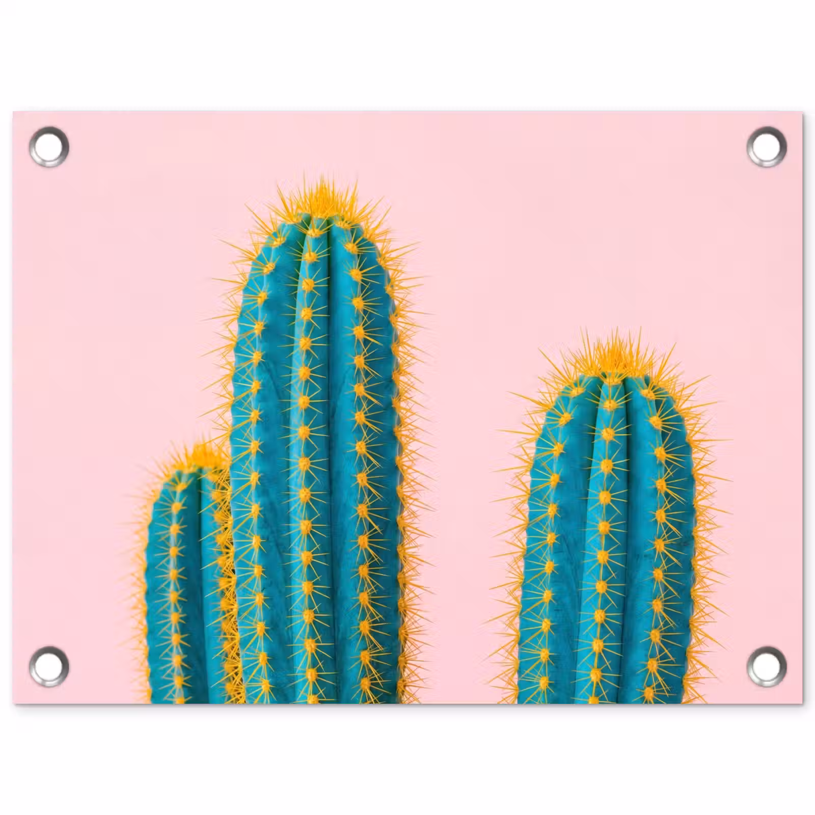 Tuinposter - Cactussen - Modern - Pastel — 1
