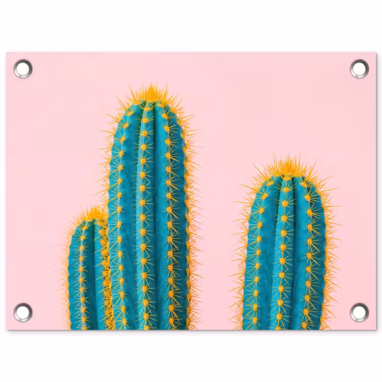 Tuinposter - Cactussen - Modern - Pastel — 1