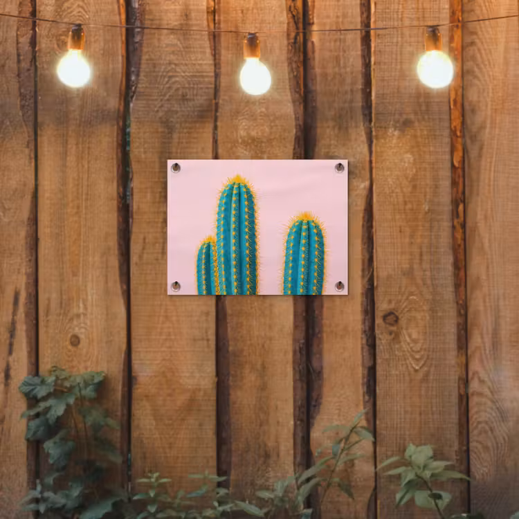 Tuinposter - Cactussen - Modern - Pastel — 2