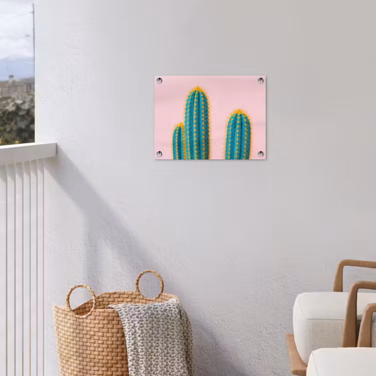 Tuinposter - Cactussen - Modern - Pastel — 3