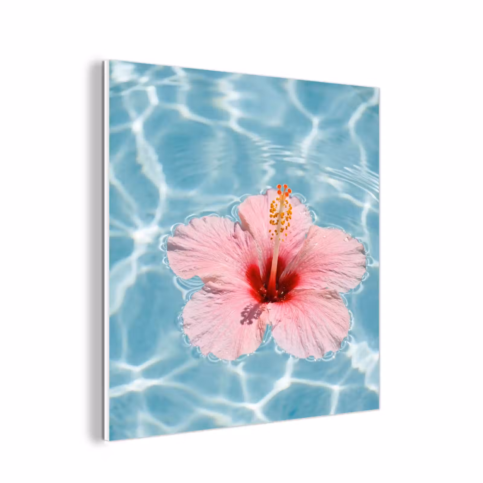 Forex - Hibiscus - Water - Roze — 1