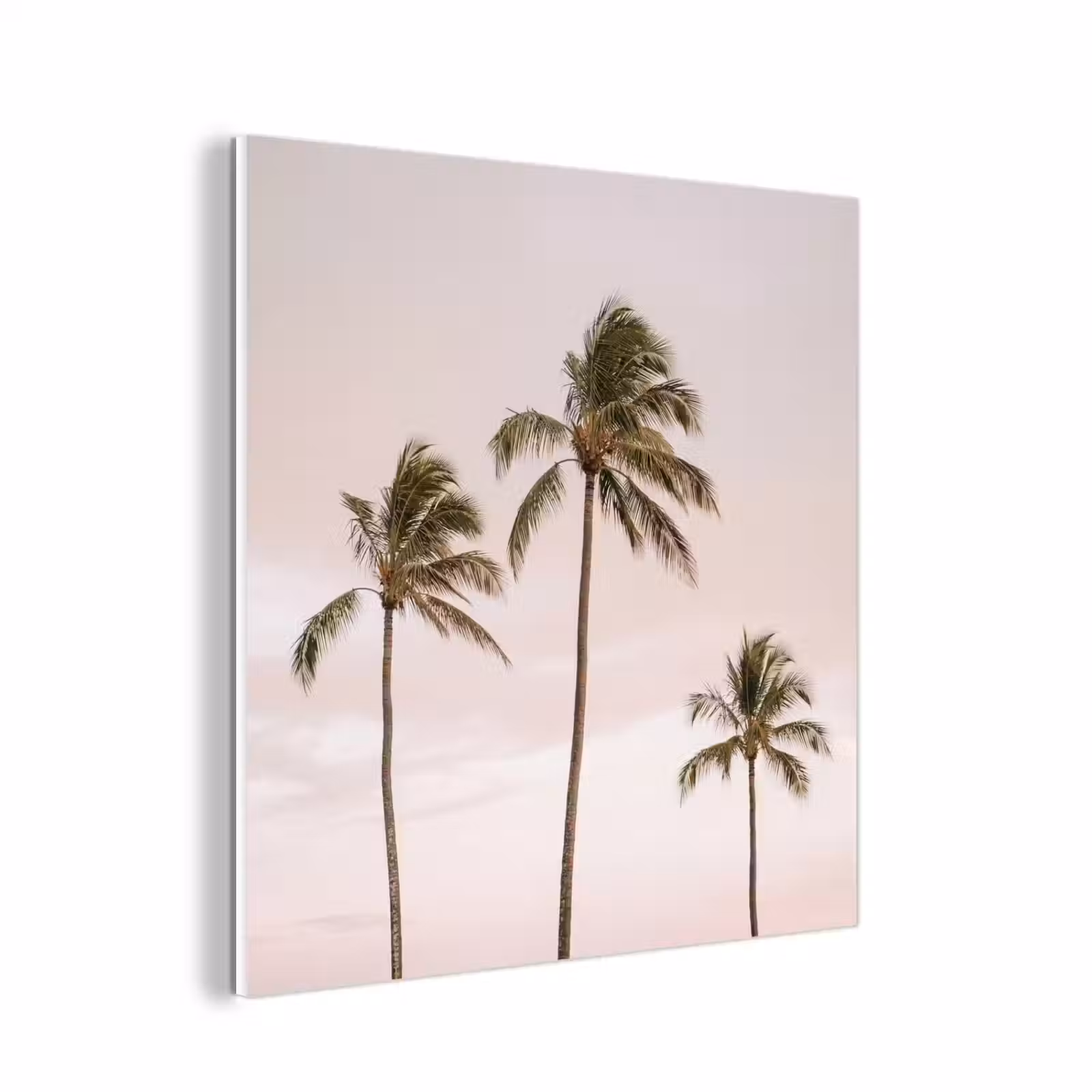 Forex - Palmbomen - Zonsondergang - Roze — 1