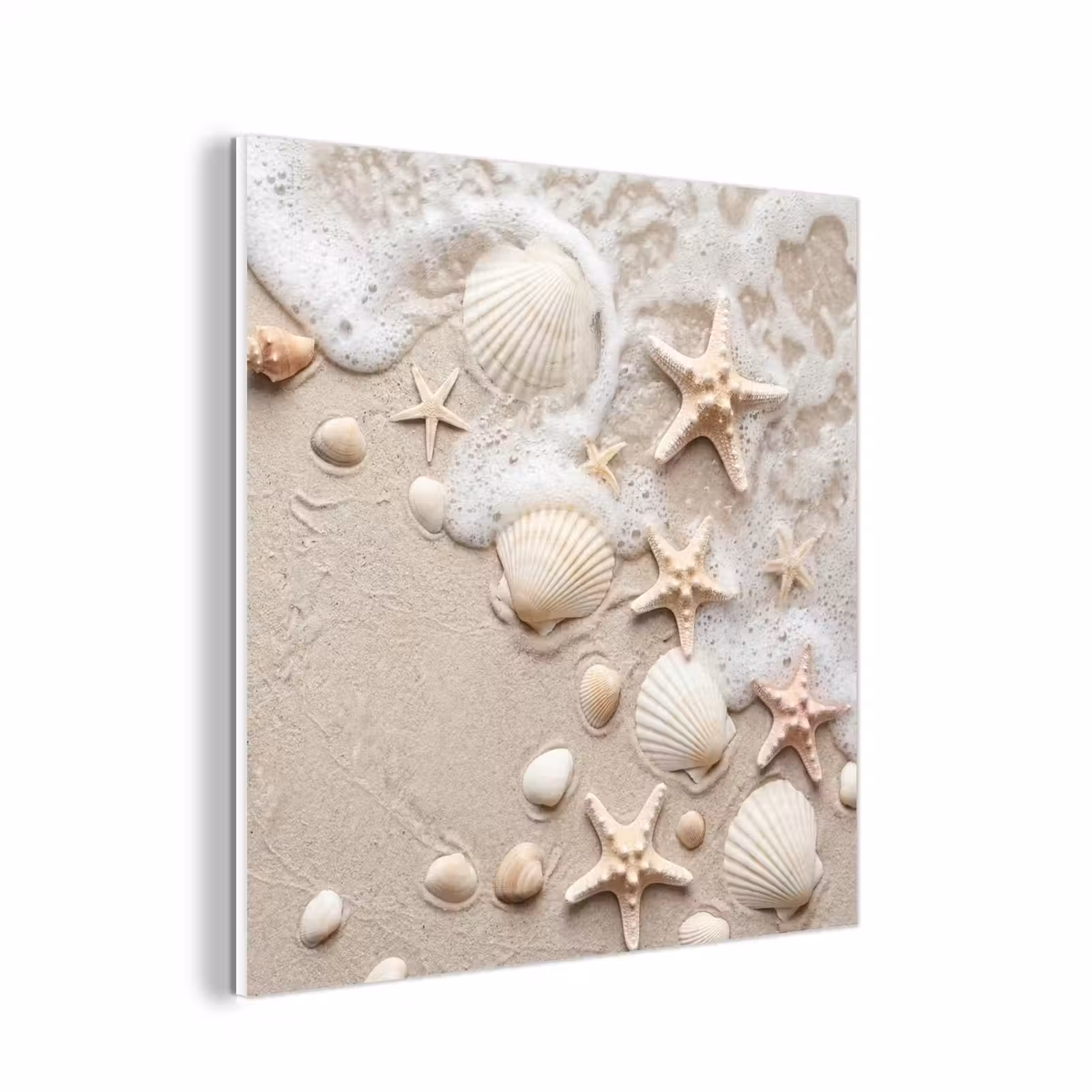 Forex - Schelpen - Zeesterren - Strand — 1