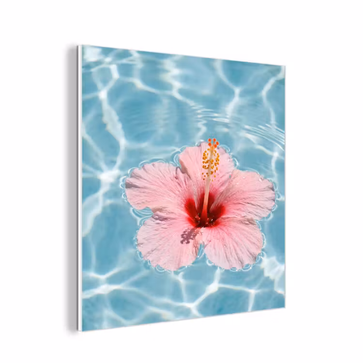 Forex - Hibiscus - Water - Roze — 1