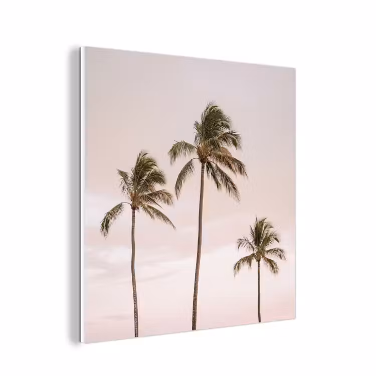 Forex - Palmbomen - Zonsondergang - Roze — 1