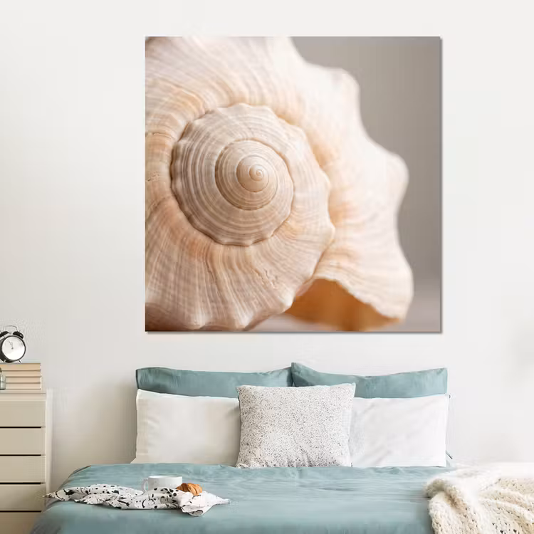 Forex - Schelp - Detail - Beige — 2