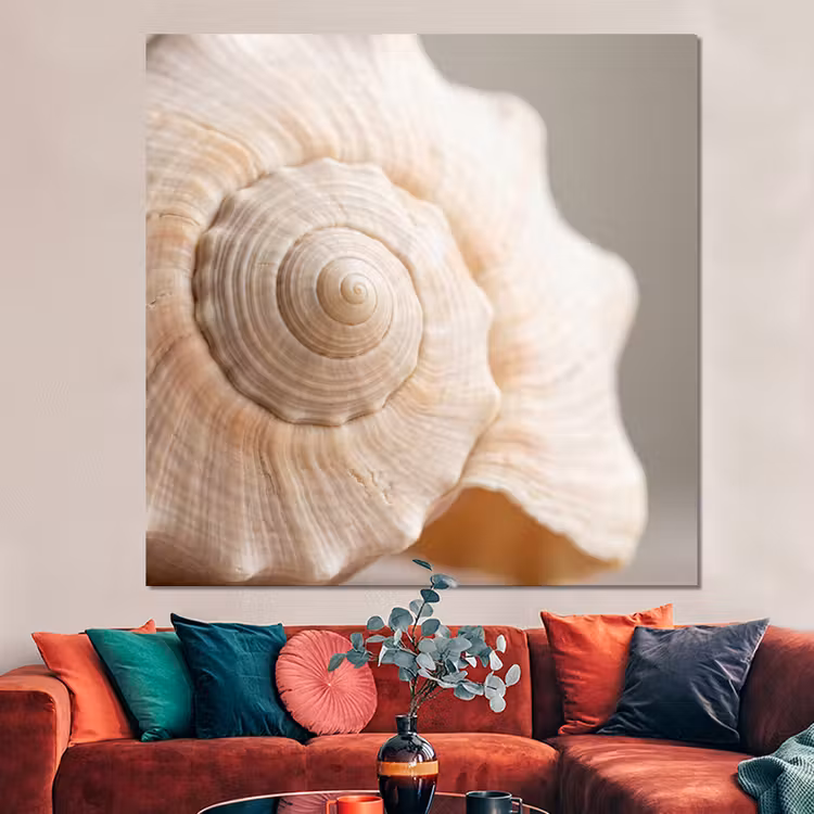 Forex - Schelp - Detail - Beige — 3