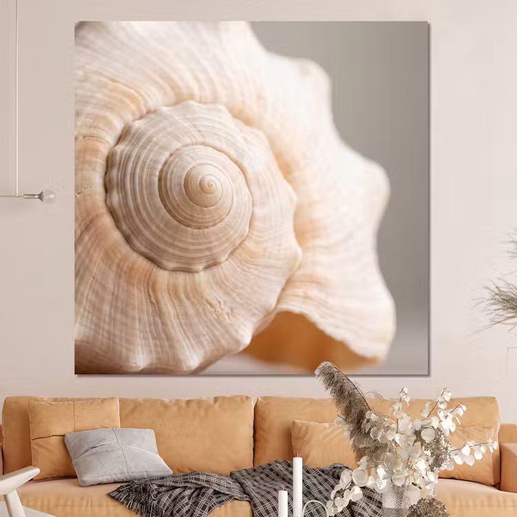 Forex - Schelp - Detail - Beige — 4