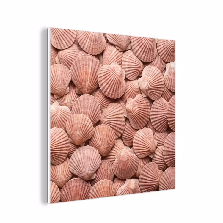 Forex - Schelpen - Patroon - Roze — 1