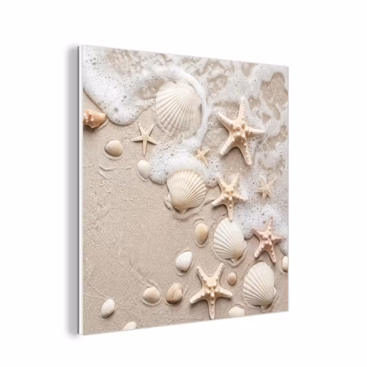 Forex - Schelpen - Zeesterren - Strand — 1