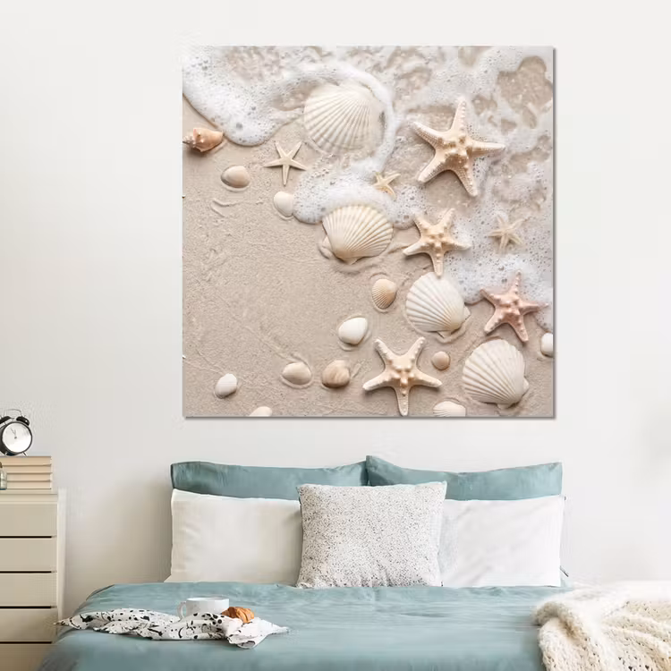 Forex - Schelpen - Zeesterren - Strand — 2