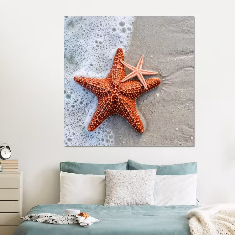 Forex - Zeester - Strand - Zee — 2