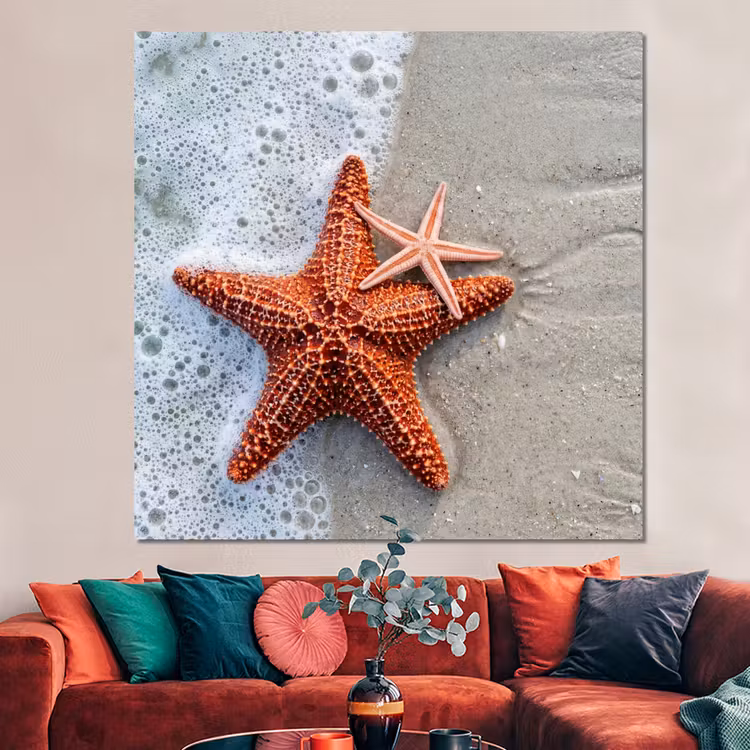 Forex - Zeester - Strand - Zee — 3