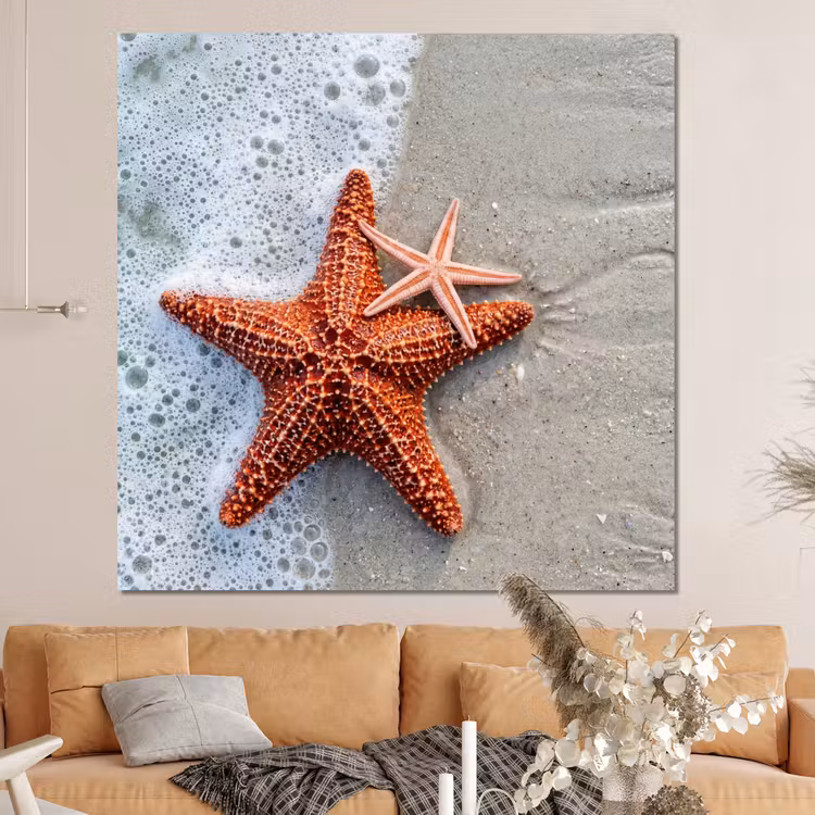 Forex - Zeester - Strand - Zee — 4