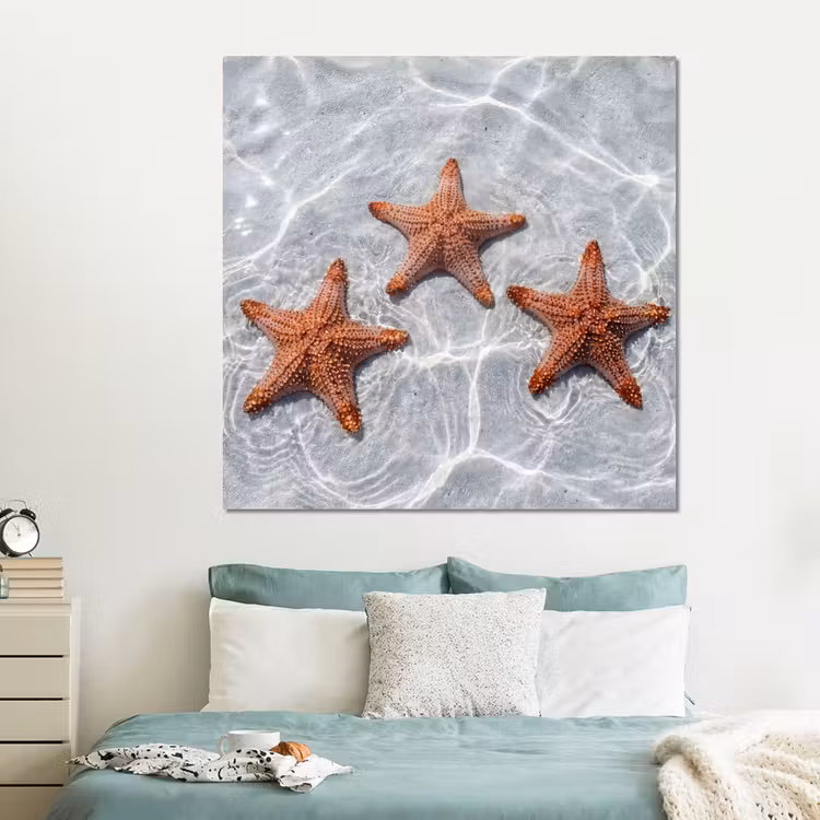 Forex - Zeesterren - Water - Helder — 2