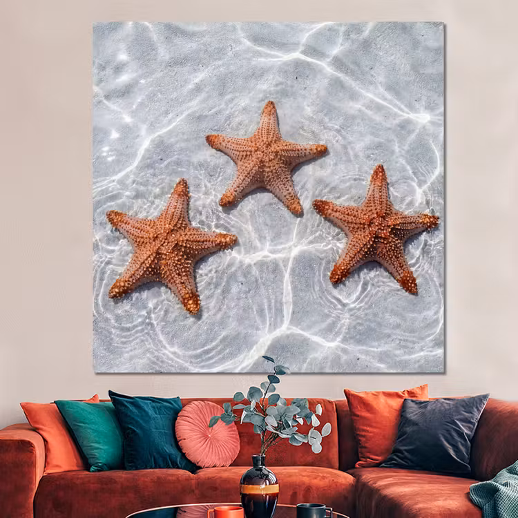 Forex - Zeesterren - Water - Helder — 3