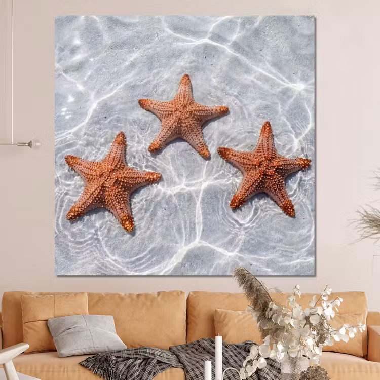 Forex - Zeesterren - Water - Helder — 4