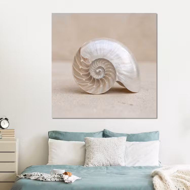 Forex - Schelp - Spiraal - Beige — 2