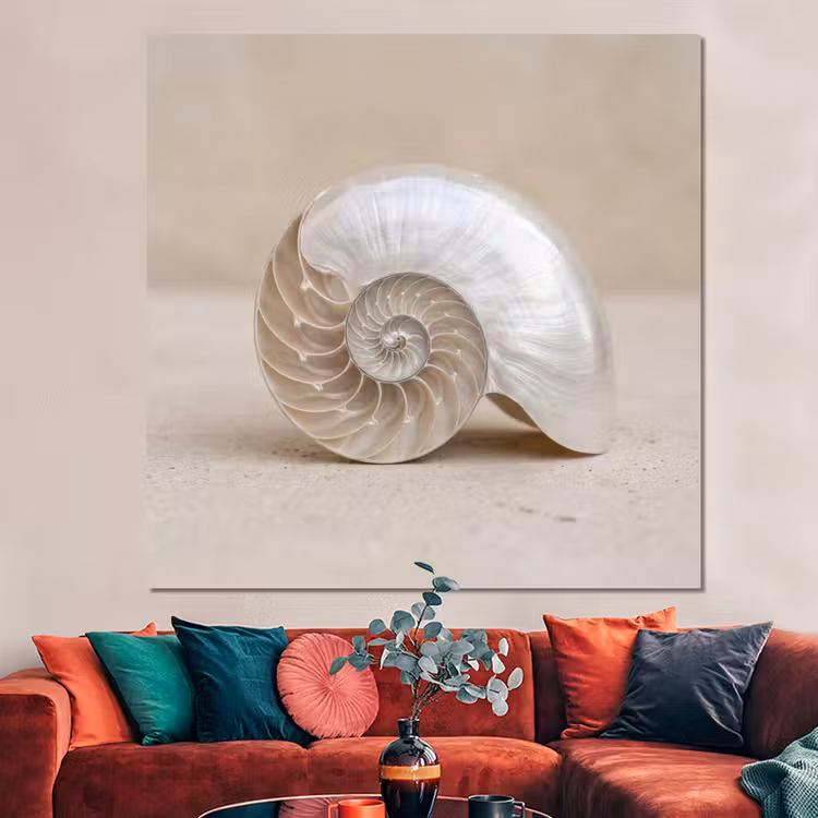 Forex - Schelp - Spiraal - Beige — 3
