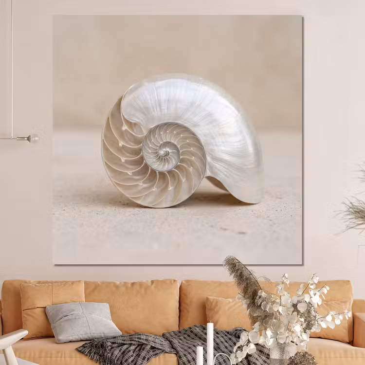 Forex - Schelp - Spiraal - Beige — 4